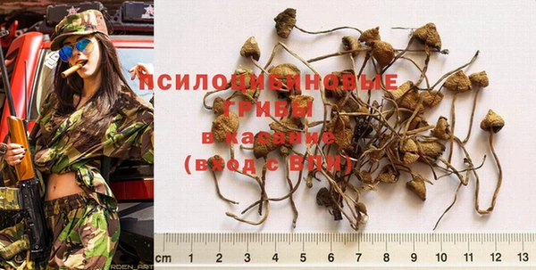 тгк Мегион