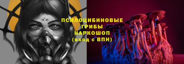 трава Надым