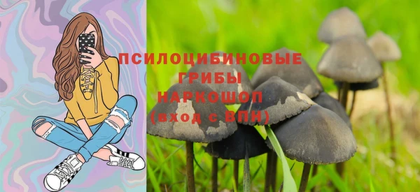 тгк Мегион