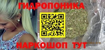 PSILOCYBIN Краснодар