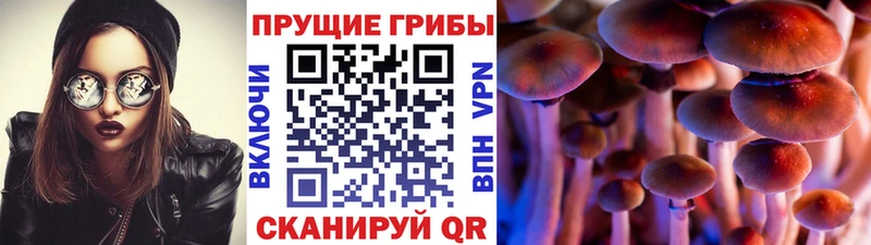 Галлюциногенные грибы Magic Shrooms  kraken вход  Лесозаводск  даркнет сайт 
