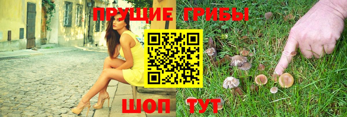 Галлюциногенные грибы Psilocybe Лесозаводск
